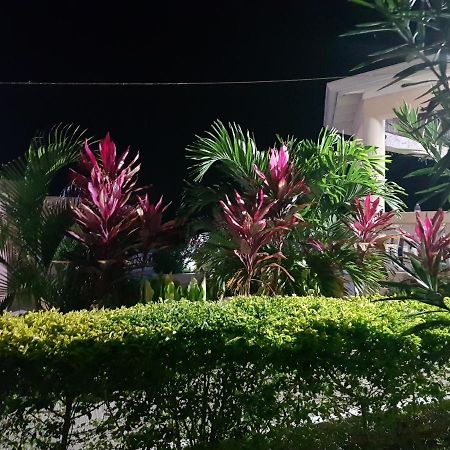 Cool Breeze ดิสคัฟเวอรีเบย์ ภายนอก รูปภาพ